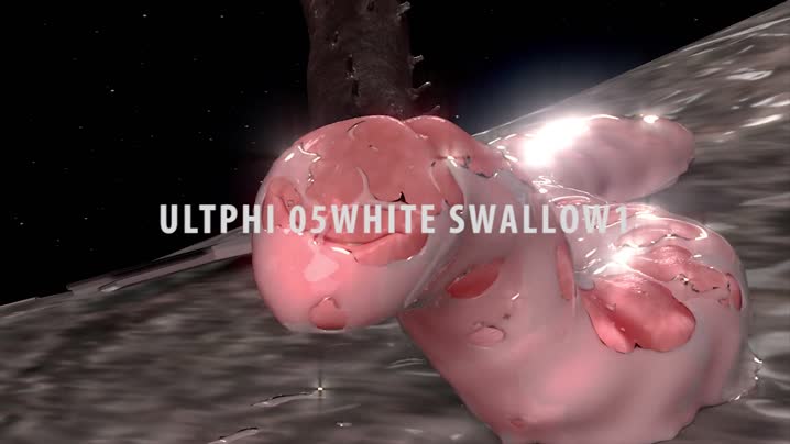 [A_Third_Dimension]_ULTPHI05_white_swallow1